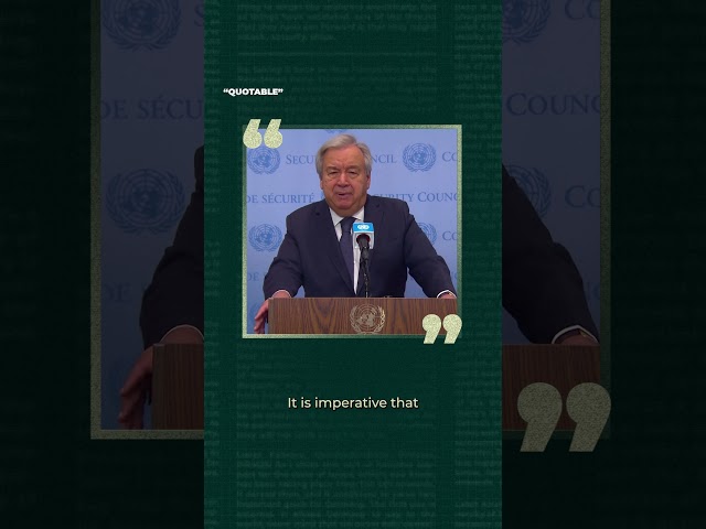 ⁣"Independent, international investigators" must have access to Gaza mass graves | Quotable