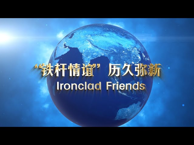 ⁣Ironclad Friends