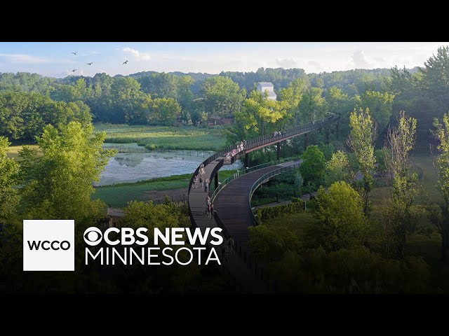 ⁣Stroll the Minnesota Zoo’s Treetop Trail