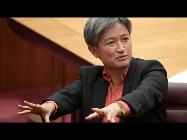 ⁣‘Peak parody’: Penny Wong’s ironic plea to Iraq