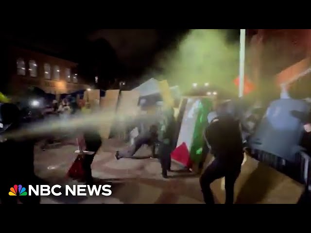 ⁣Video captures chaos at UCLA as supporters for Palestinians and Israel clash