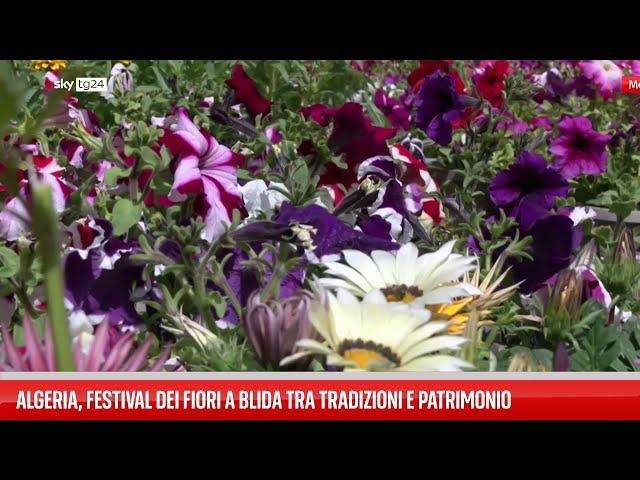 ⁣Algeria, i colori del festival dei fiori a Blida
