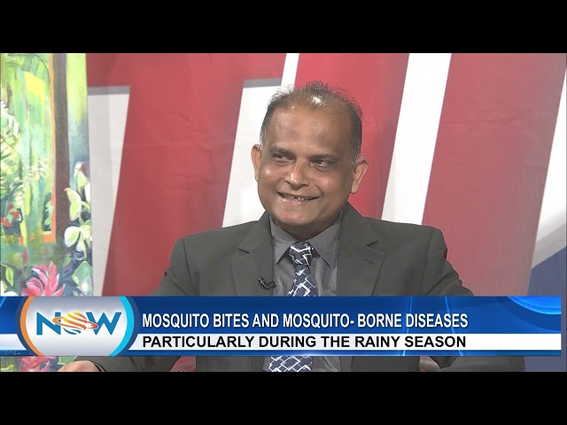 Mosquito Bites And Mosquito Borne Diseases