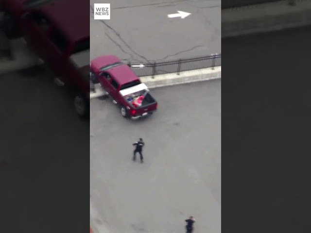 WILD CHASE: Massachusetts police approach truck with guns drawn before it smashes through fence