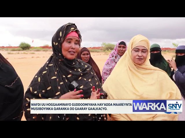 WARKA HABEEN EE SNTV 01.05.2024