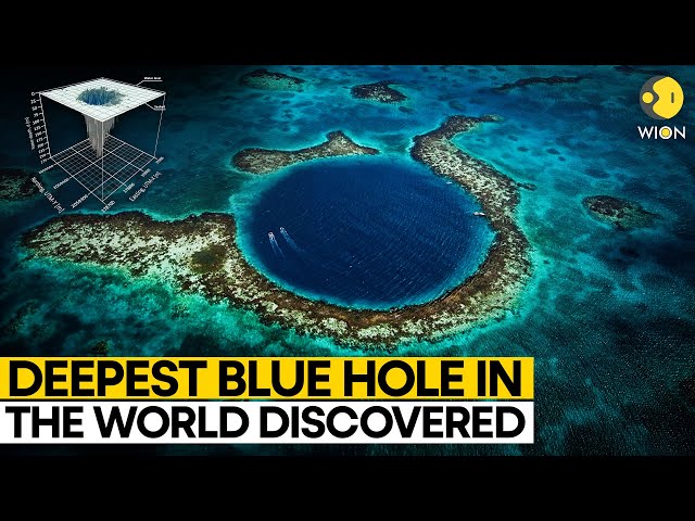 ⁣World's deepest Blue Hole discovered in Mexico | WION Originals