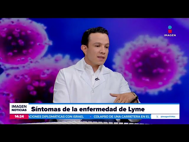 ⁣Día Mundial de la Enfermedad de Lyme: ¿Qué es?