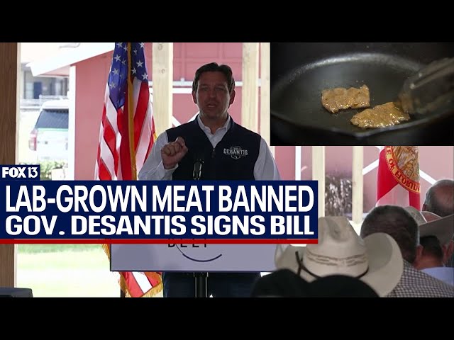 ⁣Lab-grown meat banned under new Florida law signed by Gov. DeSantis