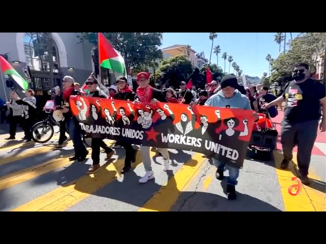 ⁣Comunistas y antinorteamericanos se esconden detrás de marchas ProPalestina en Universidades de EEUU