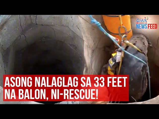 ⁣Asong nalaglag sa 33 feet na balon, ni-rescue! | GMA Integrated Newsfeed
