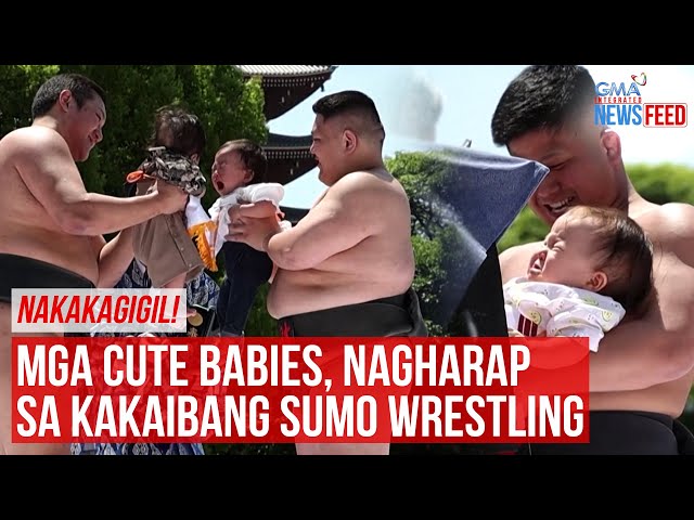 ⁣NAKAKAGIGIL! Mga cute babies, nagharap sa kakaibang sumo wrestling | GMA Integrated Newsfeed