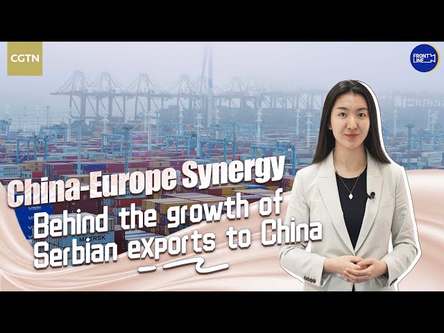 ⁣China-Europe Synergy: Behind the growth of Serbian exports to China