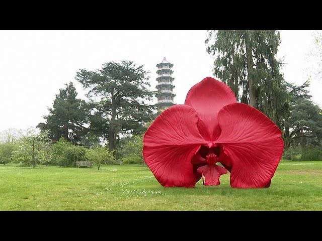 ⁣No comment : Marc Quinn expose ses oeuvres à Kew Gardens