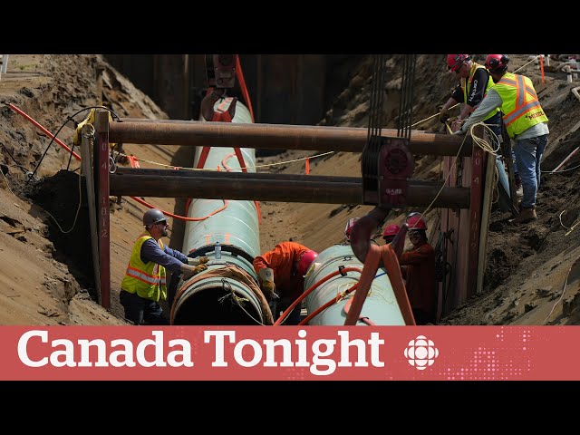 ⁣Indigenous group sees 'reconciliation' in bid to buy TMX | Canada Tonight