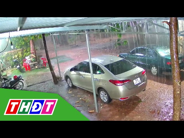 ⁣Bình Phước xuất hiện mưa giải nhiệt | THDT