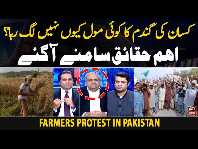 ⁣Scores held in Punjab for protesting govt’s ‘unfair’ wheat policy - Experts' Reaction