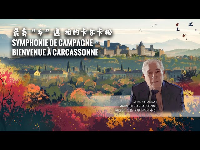 ⁣Carcassonne : un voyage aux saveurs médiévales