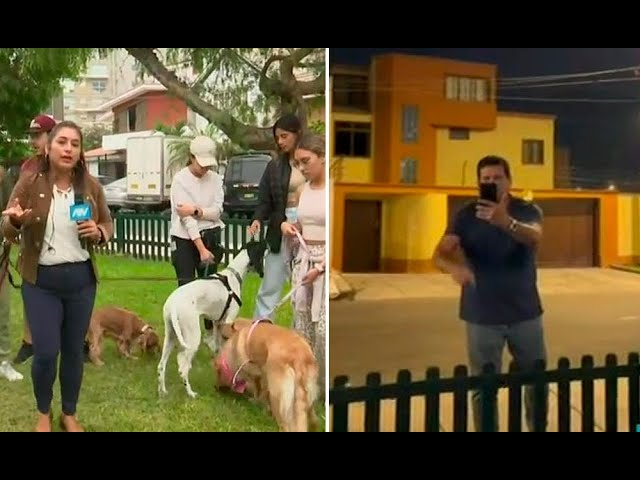 ⁣Surco: Animalistas denuncian a vecino que amenaza con envenenar a los canes