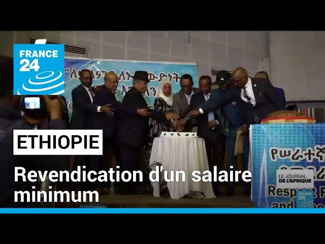 Journée internationale du travail en Ethiopie : revendication d'un salaire minimum • FRANCE 24
