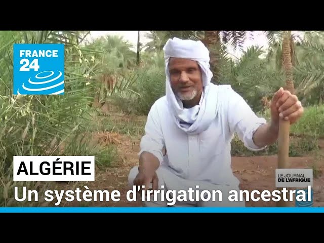 ⁣Gestion de l'eau en Algérie : un système d'irrigation ancestral • FRANCE 24
