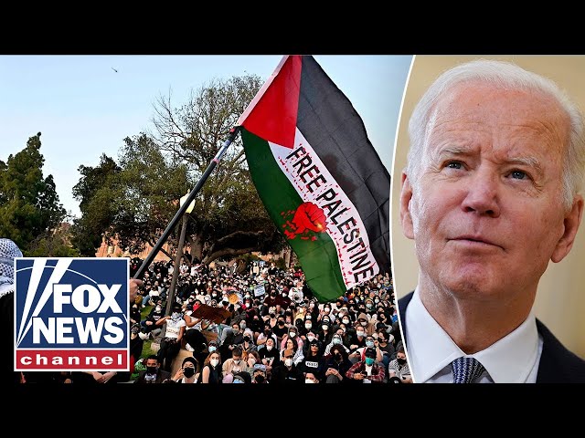 ⁣Democrat challenged on Biden's response to anti-Israel campus mobs