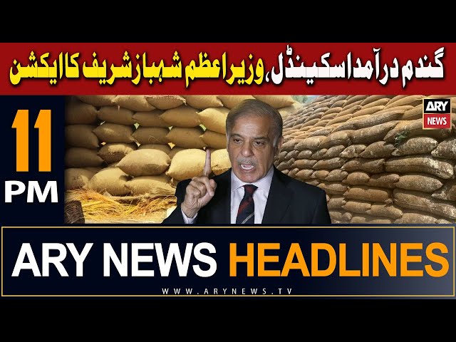 ⁣ARY News 11 PM Headlines | 2nd May 2024 | Wazir-e-Azam Shahbaz Sharif Ka Action