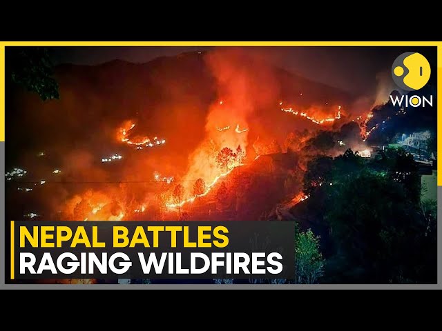 ⁣Nepal battles raging wildfires across the country | Latest English News | WION