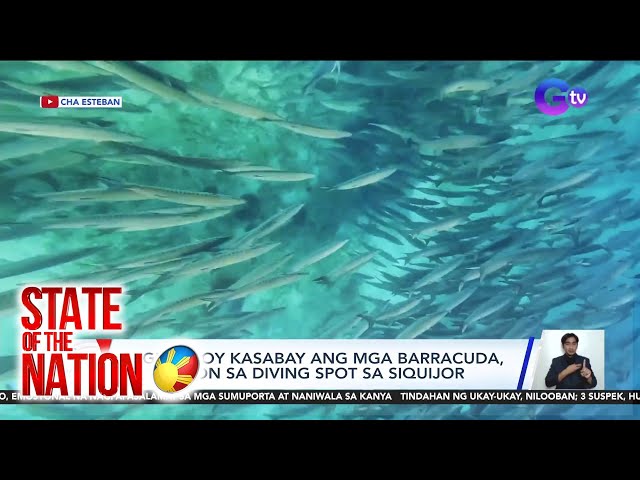 ⁣State of the Nation Part 2 & 3: Swimming with barracuda; Kwelang trip sa tag-init