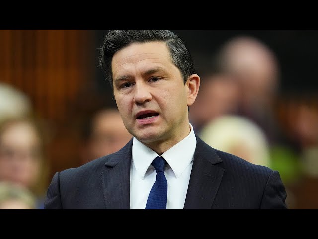 Did Poilievre cross the line with 'wacko' comment made towards Trudeau?
