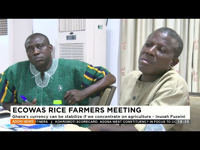 ⁣ECOWAS Rice Farmers Meeting: Ghana's currency can be stabilized if we concentrate on agricultur