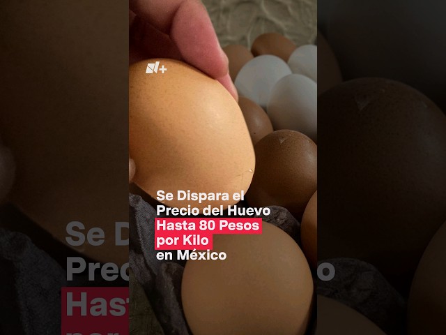 ⁣Se dispara el precio del huevo hasta por 80 pesos por kilo en México - N+ #Shorts