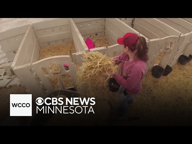 ⁣Minnesota farmers face myriad of challenges, from weather to unpredictable prices