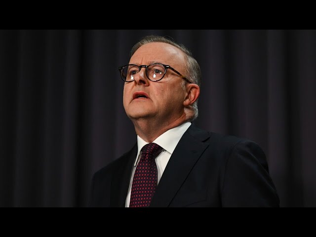 ⁣Prime Minister Anthony Albanese ‘gaslit’ and ‘humiliated’ DV rally organiser