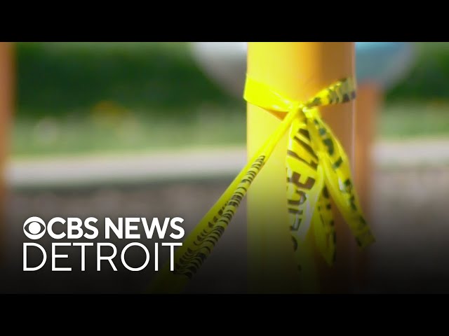 ⁣Detroit police search for shooter who wounded 2 women, 2 children at playground