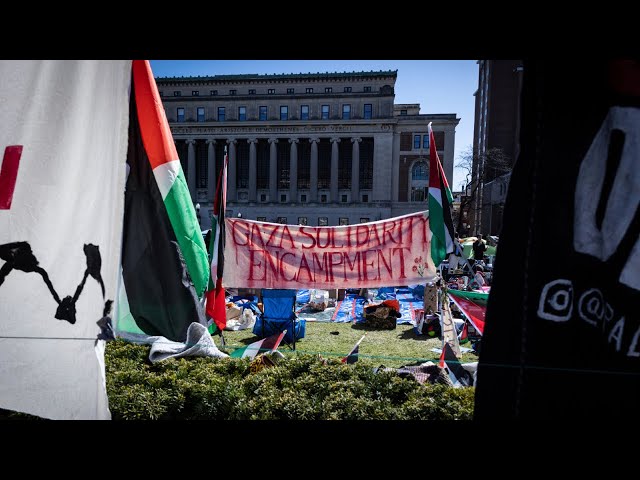 ⁣US government blamed for violent pro-Palestine protests