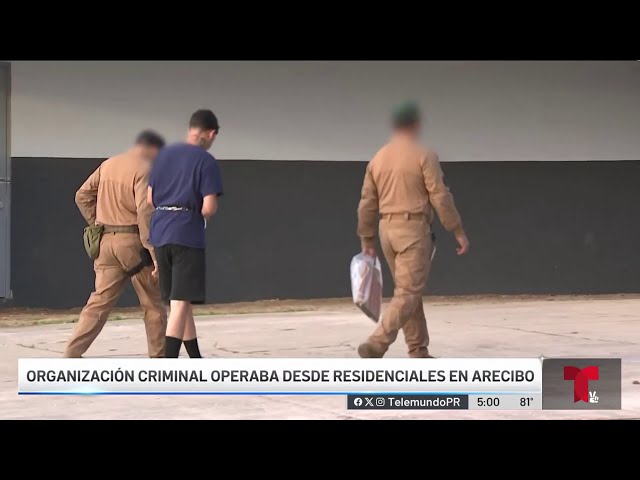 ⁣Federales van contra miembros de violenta ganga en Arecibo