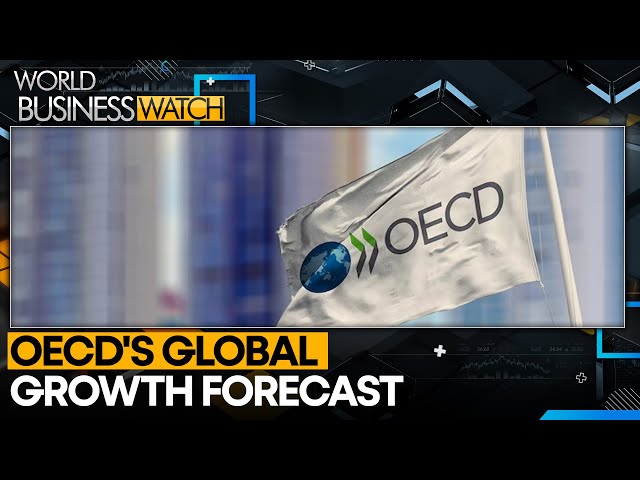 ⁣OECD boosts global growth forecast to 3.2% for 2025 | World Business Watch