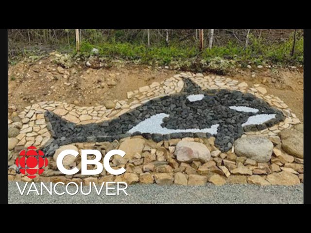 ⁣Clearwater, B.C., man cheers on Canucks with orca mosaic