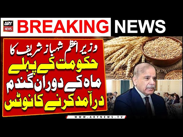⁣PM took notice to import wheat during government's first month