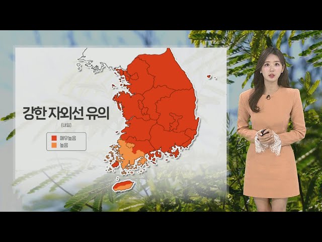 [날씨] 내일도 초여름 날씨…어린이날 전국에 비 / 연합뉴스TV (YonhapnewsTV)