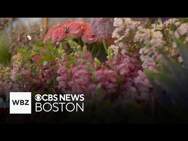 ⁣New England Living this weekend features Andover Florist Les Fleurs