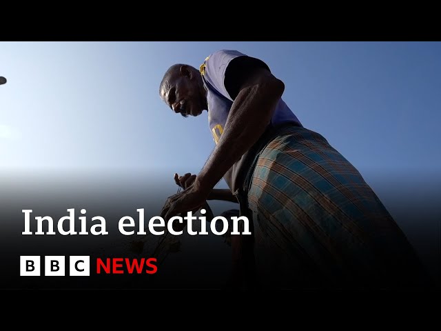 Why India's fishermen 'feel forgotten' during country's election campaign | BBC 