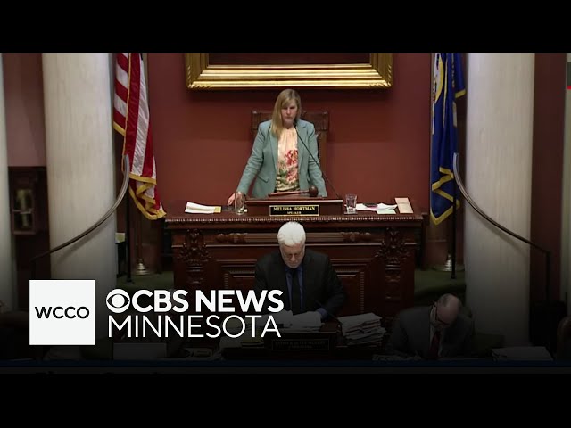 ⁣Bills on firearm storage, straw purchases headed to Minnesota Senate