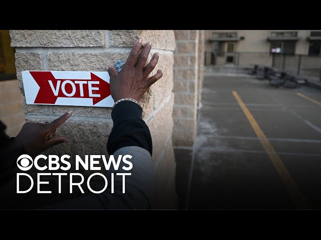 ⁣Divine 9 hosting voter registration events in Metro Detroit