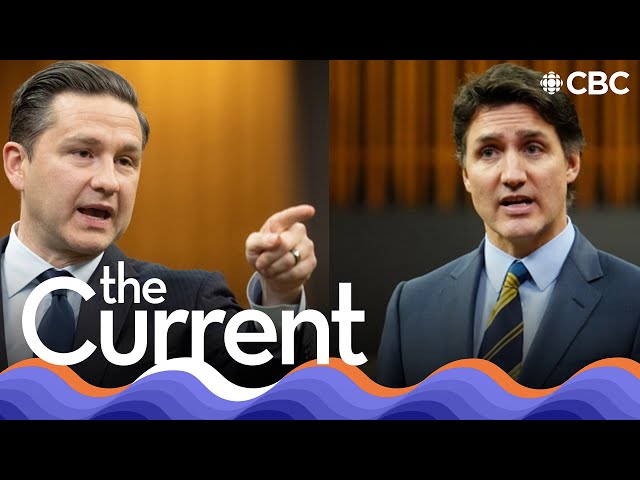 ⁣Is there a grown-up in the room in Ottawa? | The Current