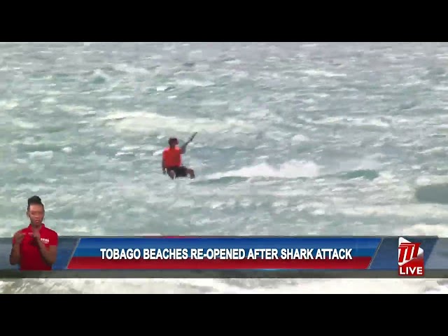 ⁣Tobago Beaches Reopen After Shark Attack