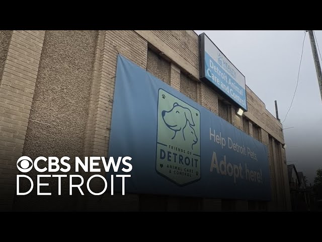 ⁣Adoptions underway at Detroit Animal Care and Control ahead of move to new facility