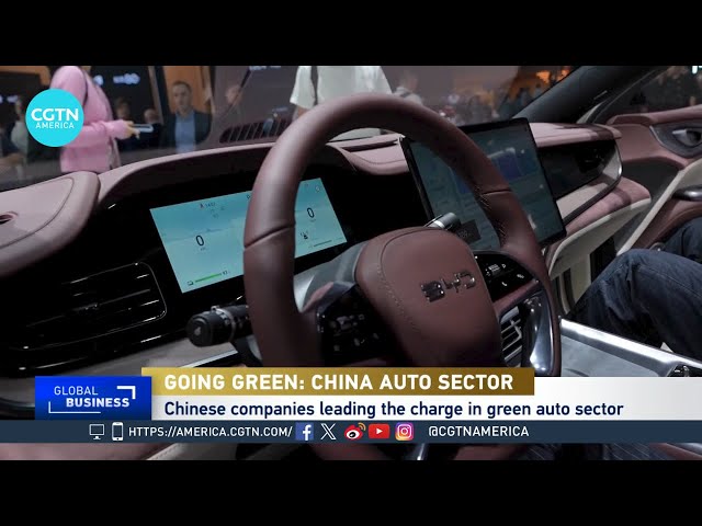 ⁣Green revolution: China makes big push into auto sector