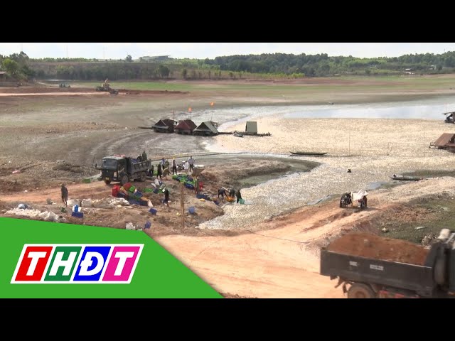 ⁣Đồng Nai: Hoàn thành vớt 200 tấn cá chết trên hồ Sông Mây | THDT