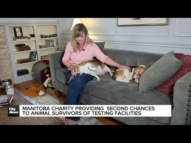 ⁣Manitoba Charity providing second chances for survivors of animal testing